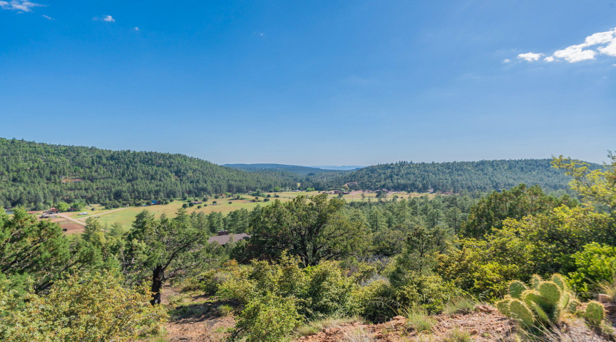 57-web-or-mls-Turkey-Community-5