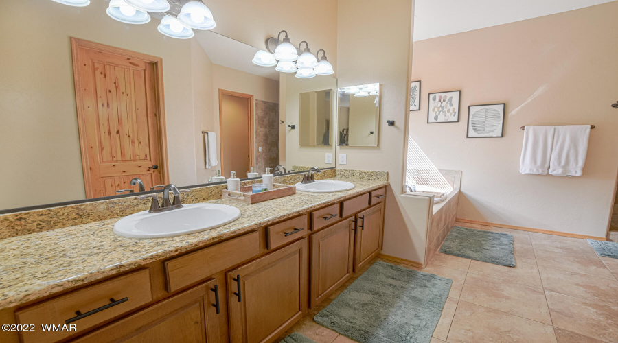Lower Level Owners Bath