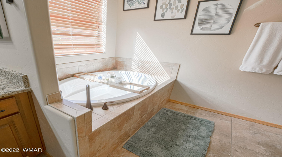 Lower Level Owners Bath
