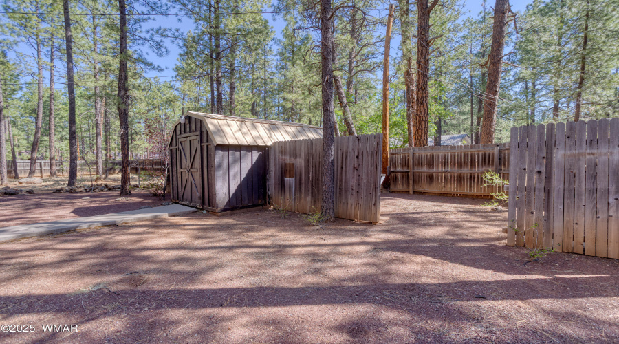 paxmanphotography--7