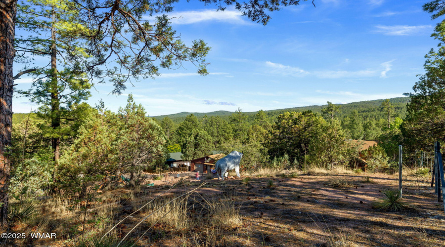 1022SHunterCreekDr-Payson-AZ-59
