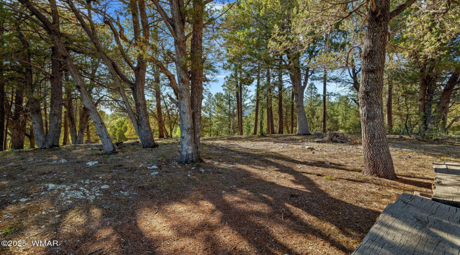1022SHunterCreekDr-Payson-AZ-60