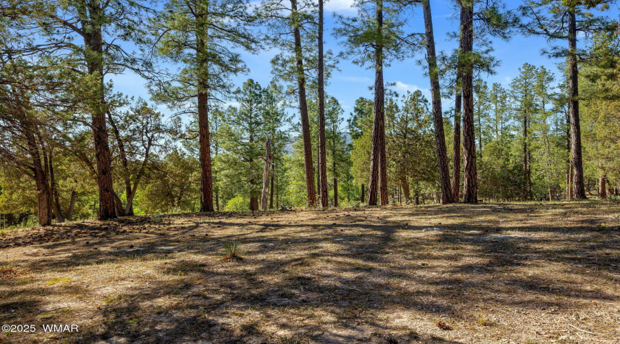 1022SHunterCreekDr-Payson-AZ-61