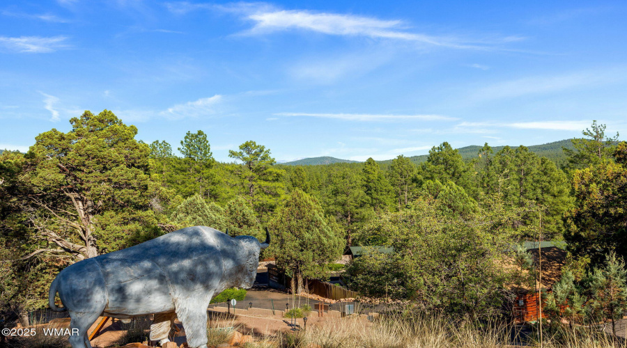 1022SHunterCreekDr-Payson-AZ-62