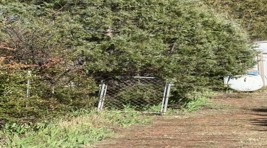 Walk thru gate to garage lot