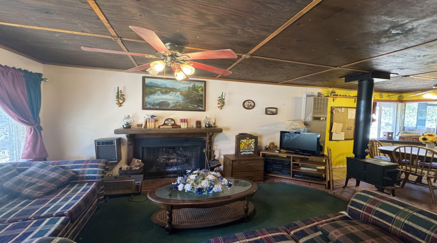 Living room fireplace