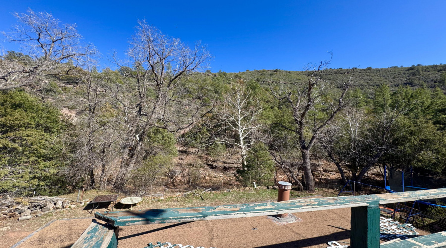 View toward creek
