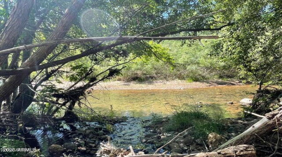 Beautiful Stream
