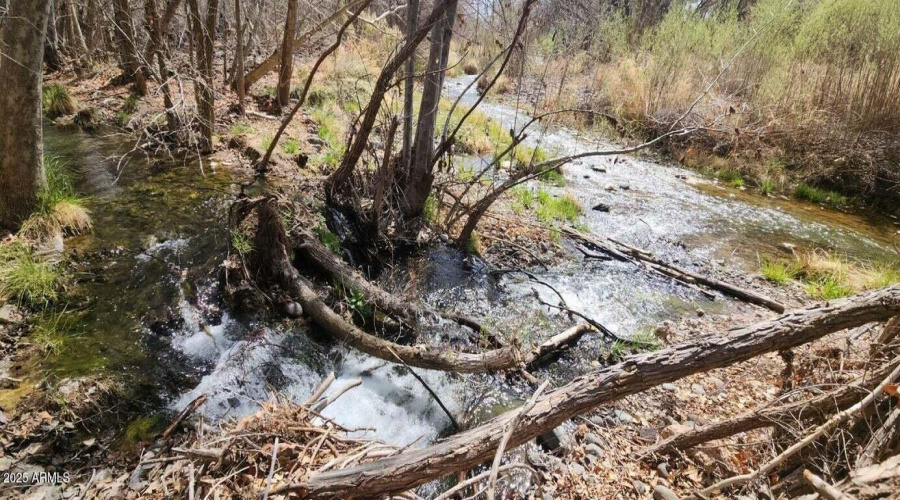 Beautiful Stream