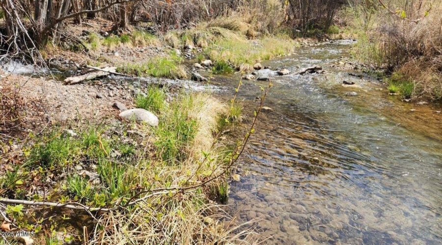 Beautiful Stream