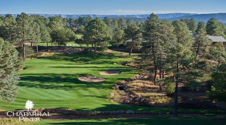 Chaparral pines club5