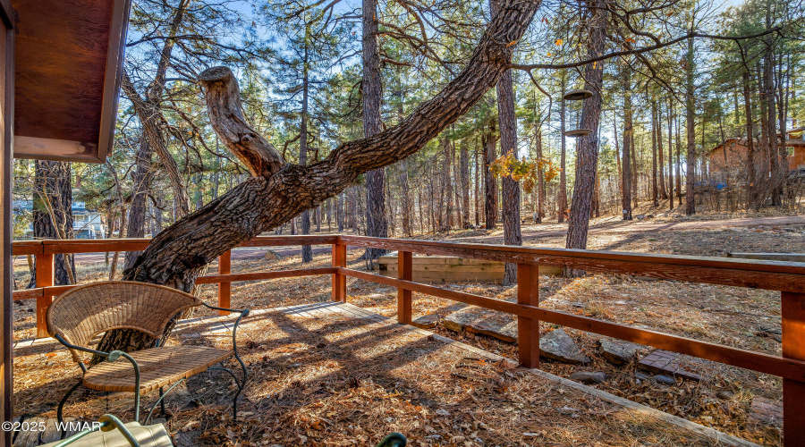 5528DeerRun-Pinedale-AZ-4