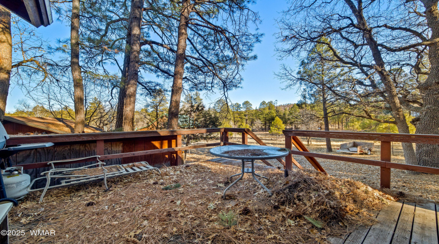 5528DeerRun-Pinedale-AZ-17