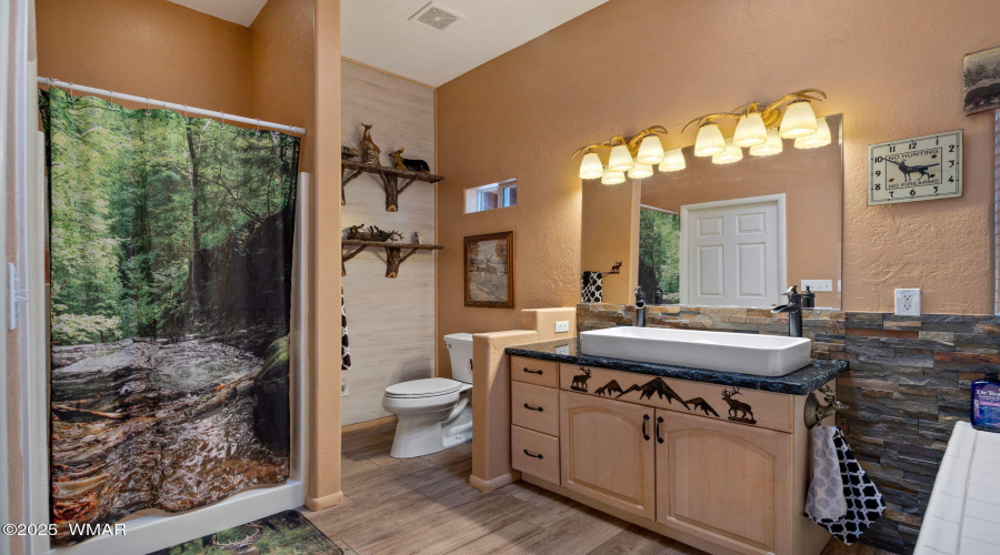 Primary Walk-In and Vanity
