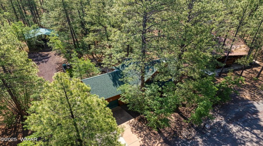 Trees and privacy