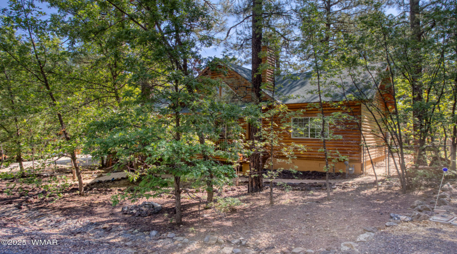 Log sided home
