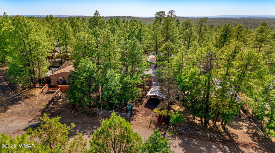 1938WalnutCreekLp-Pinetop-AZ-26