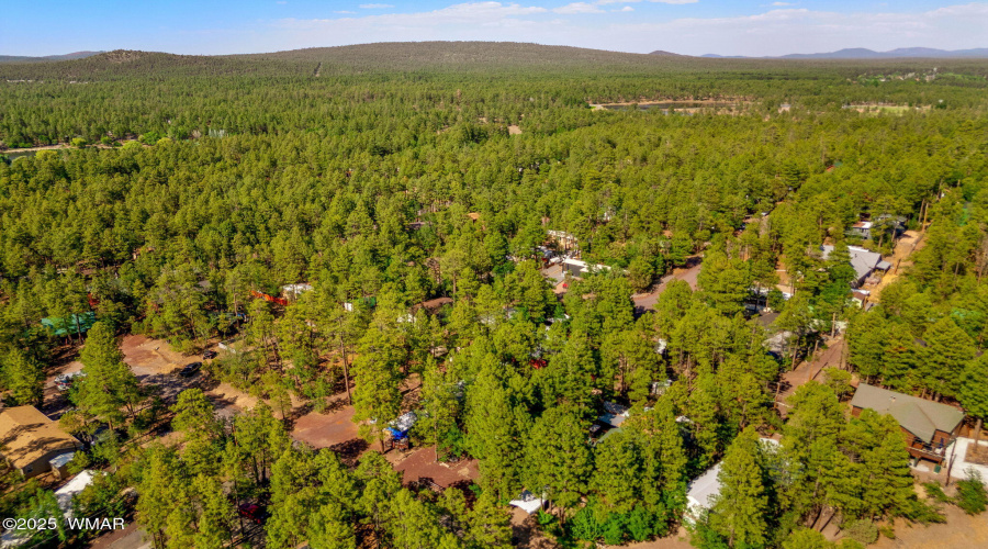 1938WalnutCreekLp-Pinetop-AZ-29