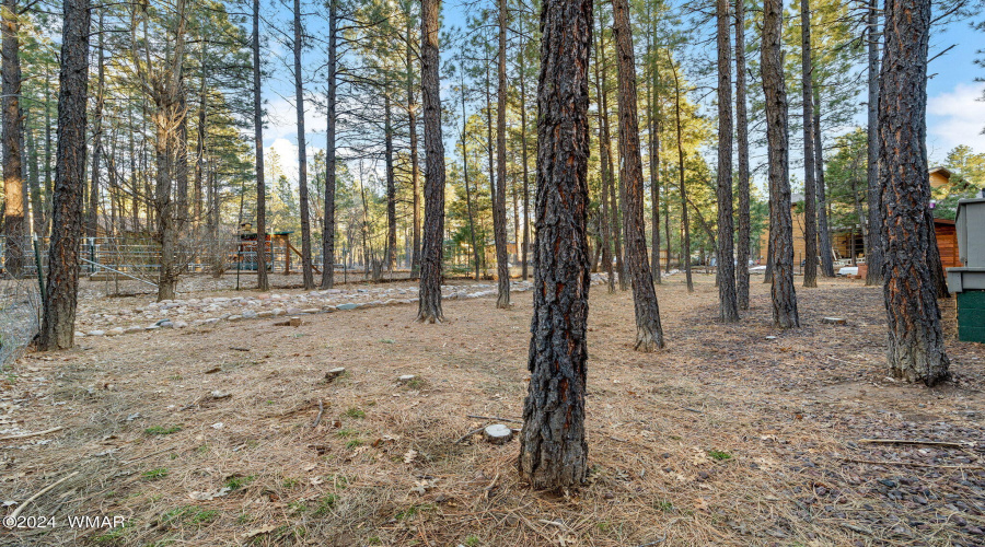 1425HandCartTrail-Lakeside-AZ-30