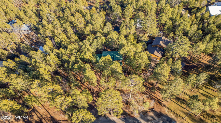 1425HandCartTrail-Lakeside-AZ-37