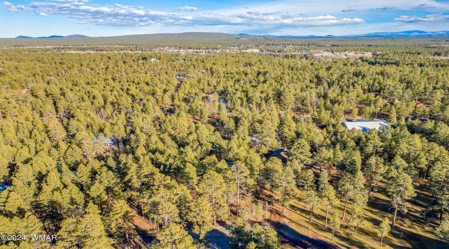 1425HandCartTrail-Lakeside-AZ-38