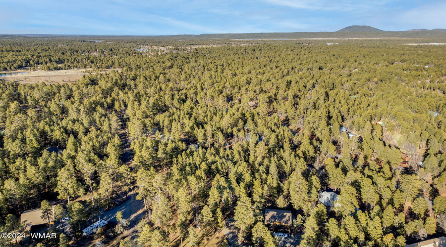 1425HandCartTrail-Lakeside-AZ-39
