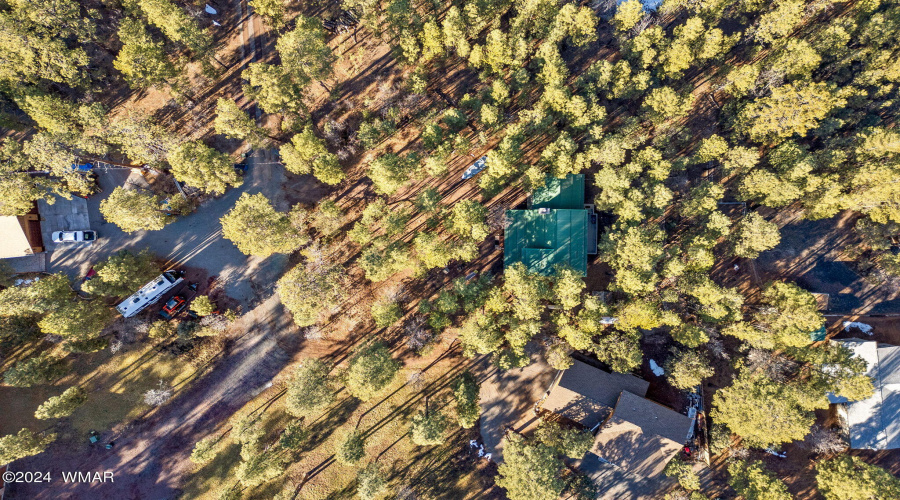 1425HandCartTrail-Lakeside-AZ-40