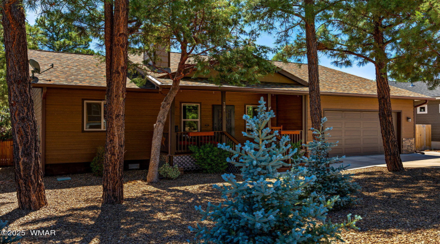Trees and Shrubs in Front