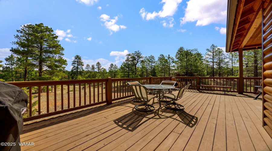 BACK DECK