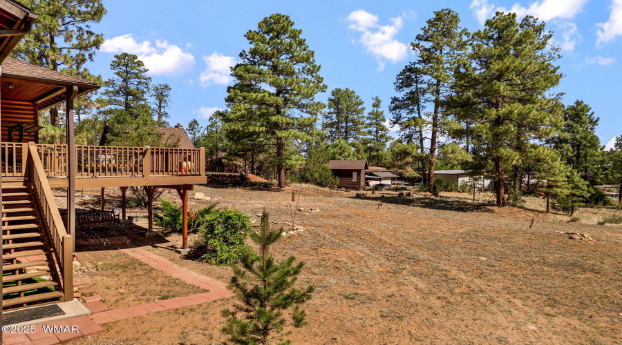 BACK YARD