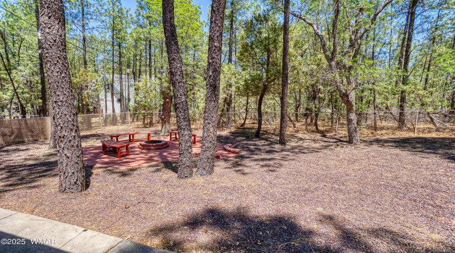 Back of Property