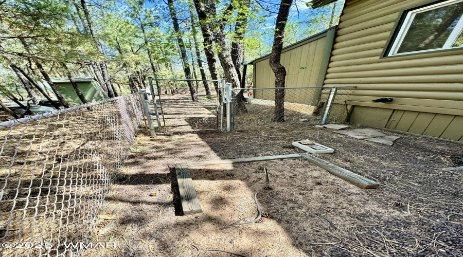 Horseshoes