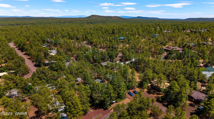 Aerial View of Community