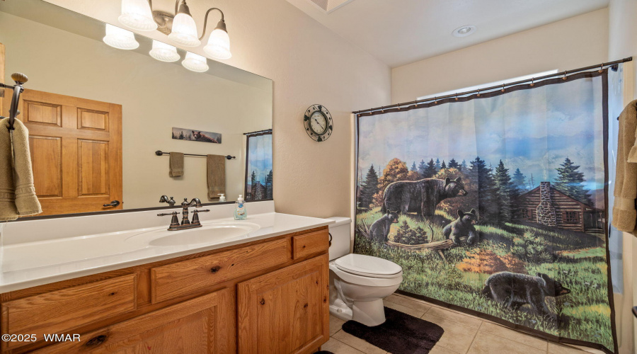 Guest Bathroom