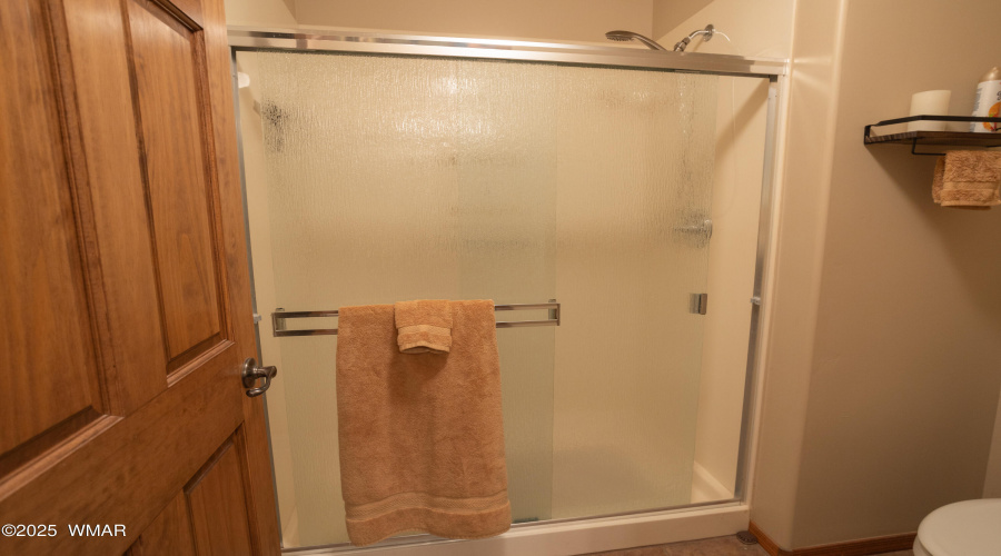 Primary Shower