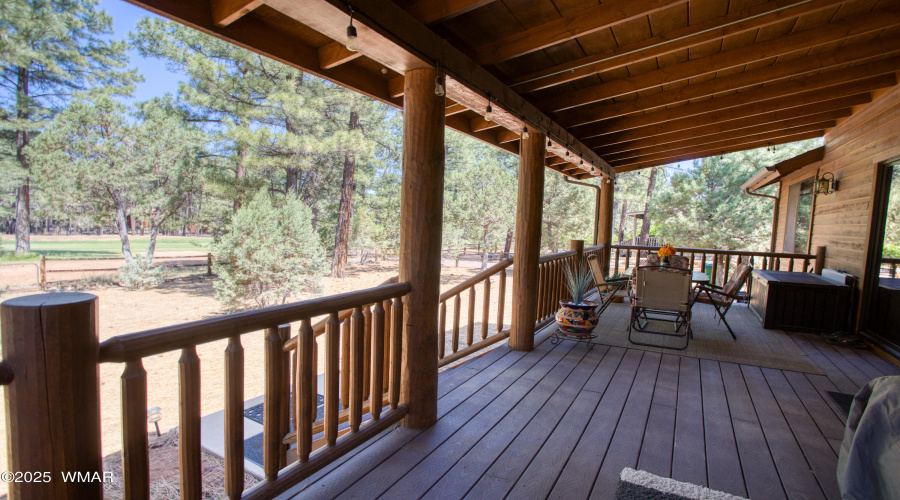 Back Deck View