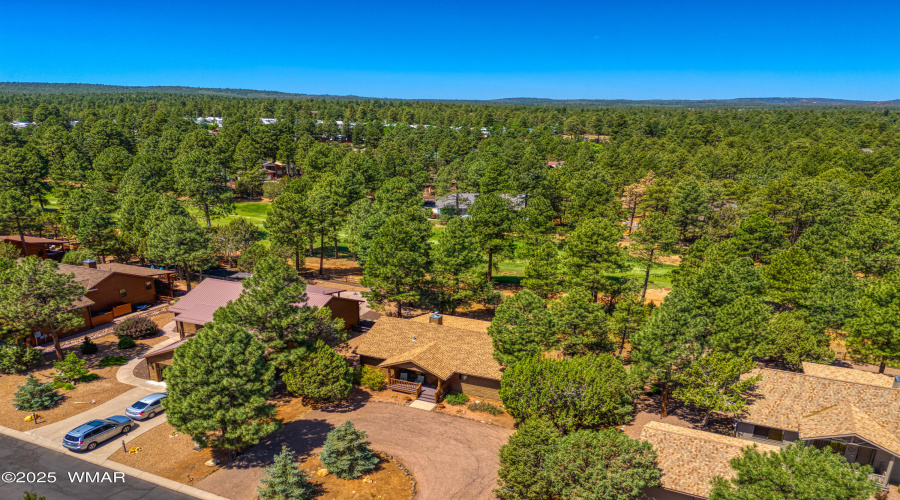 Drone View