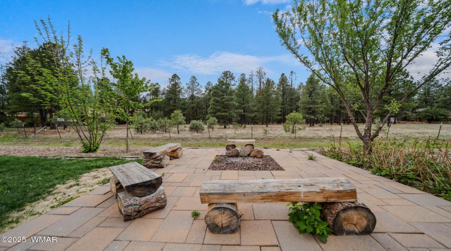 BackLodge-02981