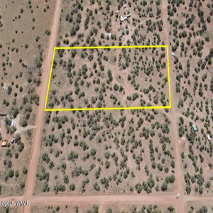 Approximate Lot Lines 4289 - 2