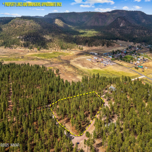 CountyRoad2325-Alpine-AZ-18