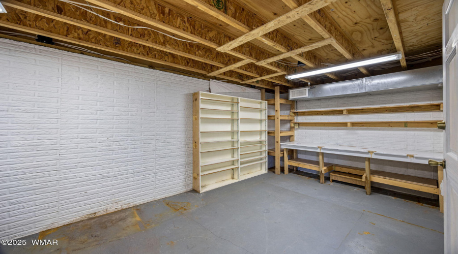 Basement Hobby Room
