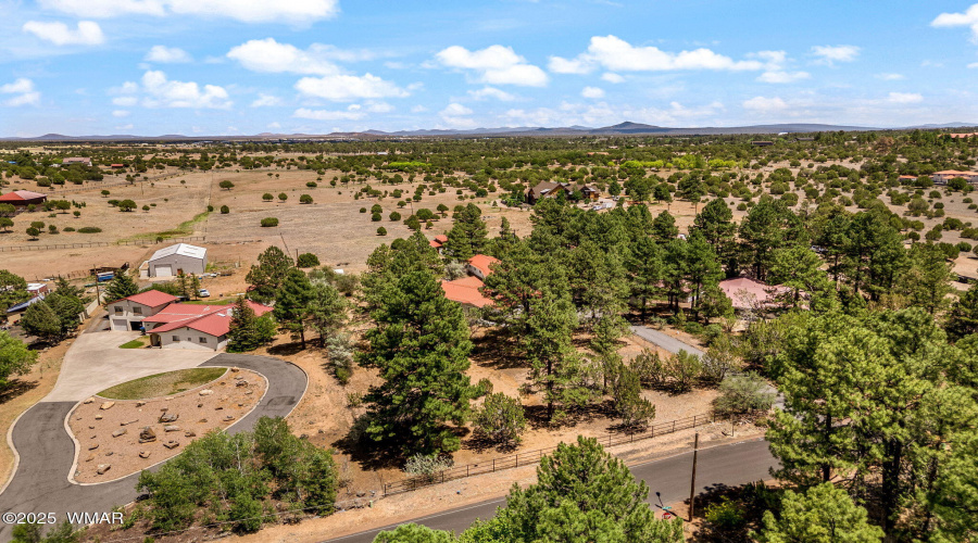 Nice Treed Lot