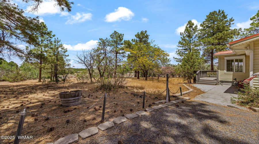 Wooded Lot
