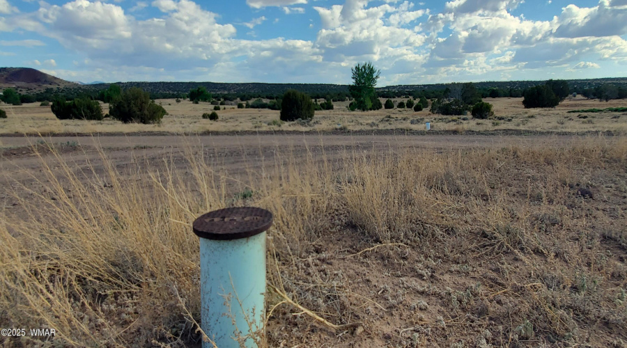 20250624_163305