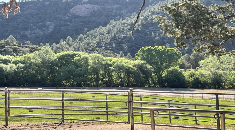 Pasture view