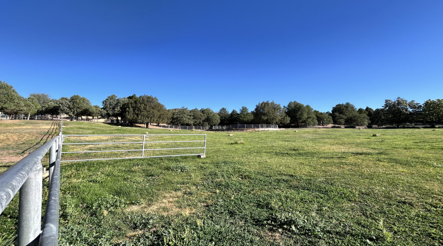 Irrigated pasture
