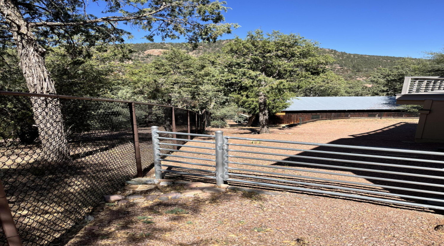 NW side yard