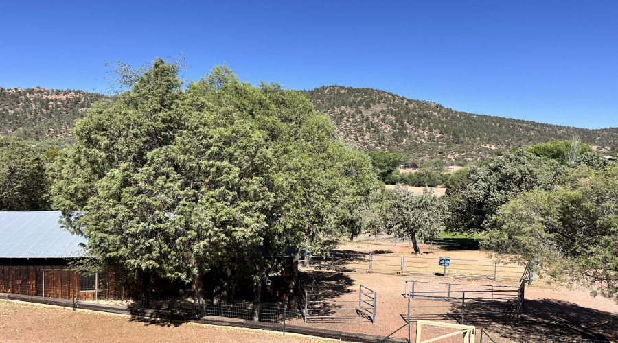 More views