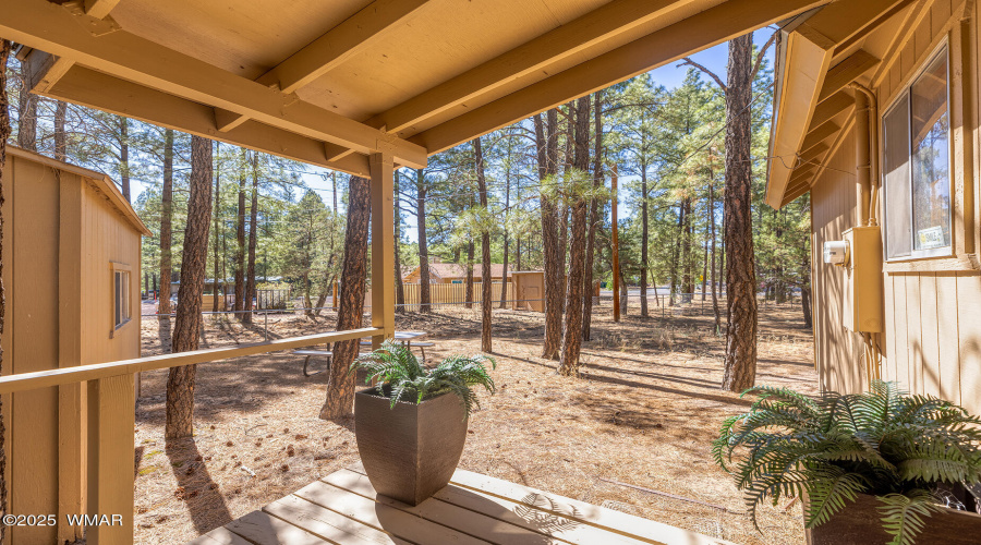 Back Deck