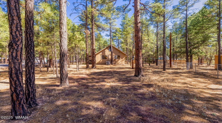 Back of Property